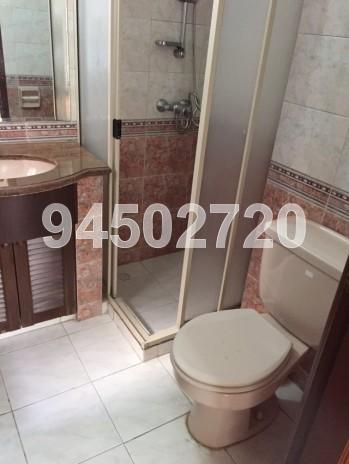 Castle Green (D26), Condominium #73744562